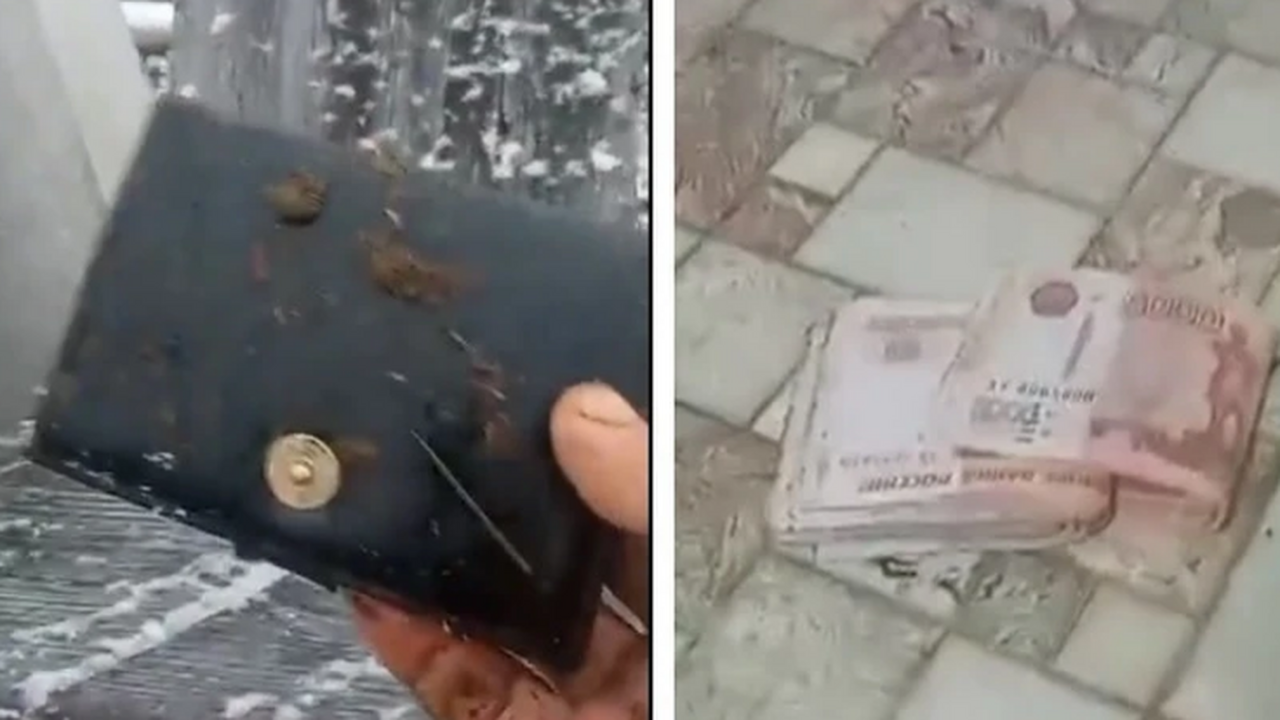 Житель Башкирии нашел в желудке забитой коровы кошелек с крупной суммой денег Житель деревни Толпарово Гафурийского района за...