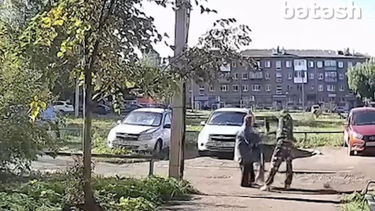 В Башкирии неадекватный мужчина напал на бабушку и ее собаку В Нефтекамске неадекватный мужчина напал на 82-...