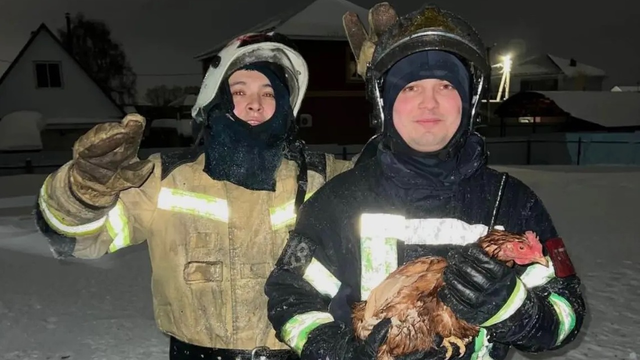 Пожарные спасли 41 курицу при пожаре в Башкирии В Зубово Уфимского района сегодня ночью произош...