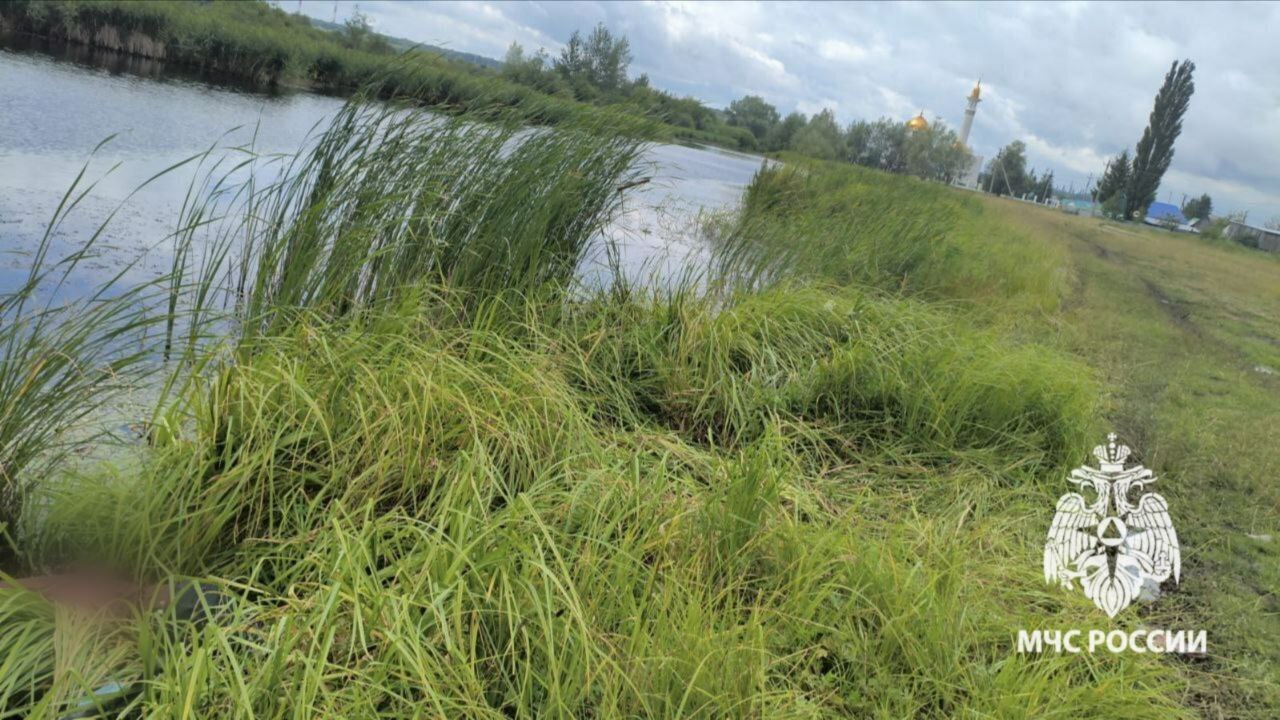 В Башкирии в прудах утонули двое мужчин Двое мужчин утонули в водоемах Башкирии. Трагед...