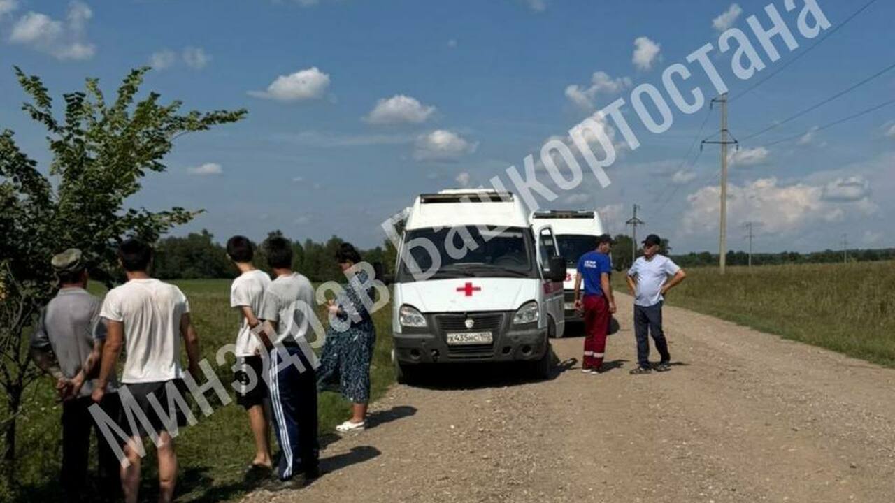 Шесть детей пострадало в массовом ДТП в Башкирии В Гафурийском районе произошло массовое ДТП с у...