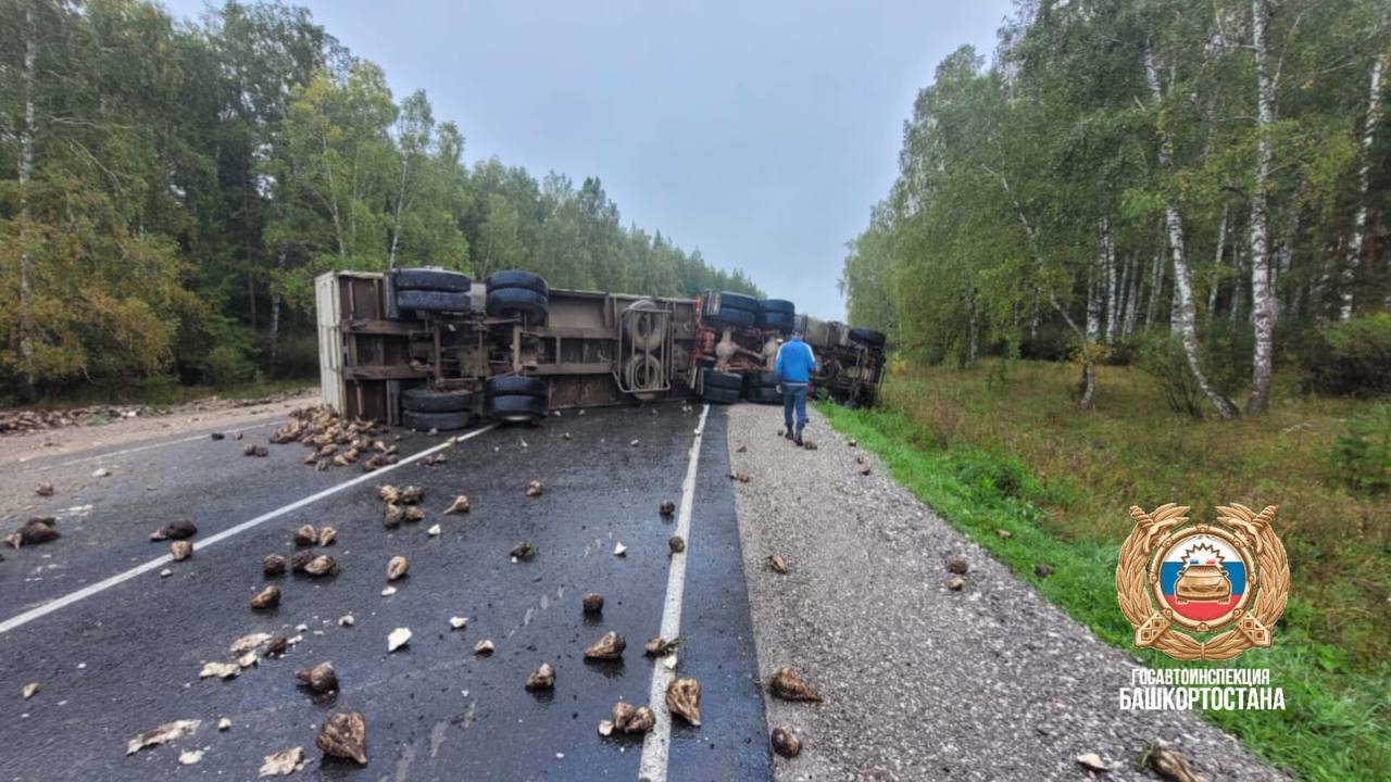 Сегодня утром, около 10:00, на автодороге Чишмы...