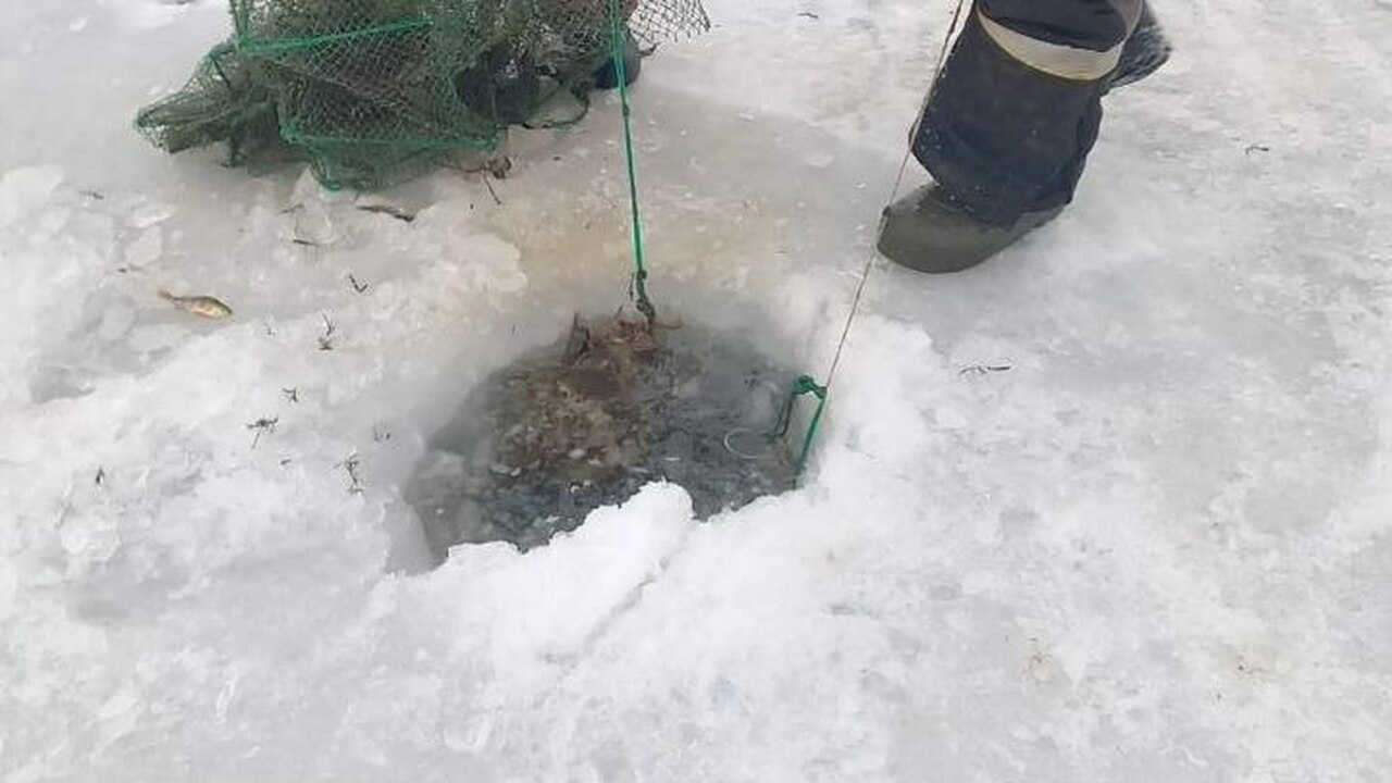 11 раколовок нашли сотрудники природного парка ...