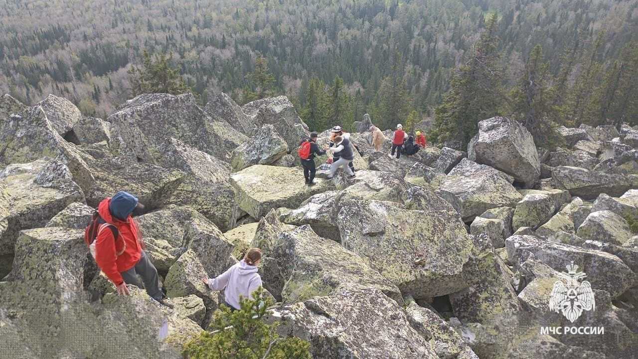 Медведь загнал группу туристов на гору в Башкирии В Белорецке медведь загнал группу туристов на г...