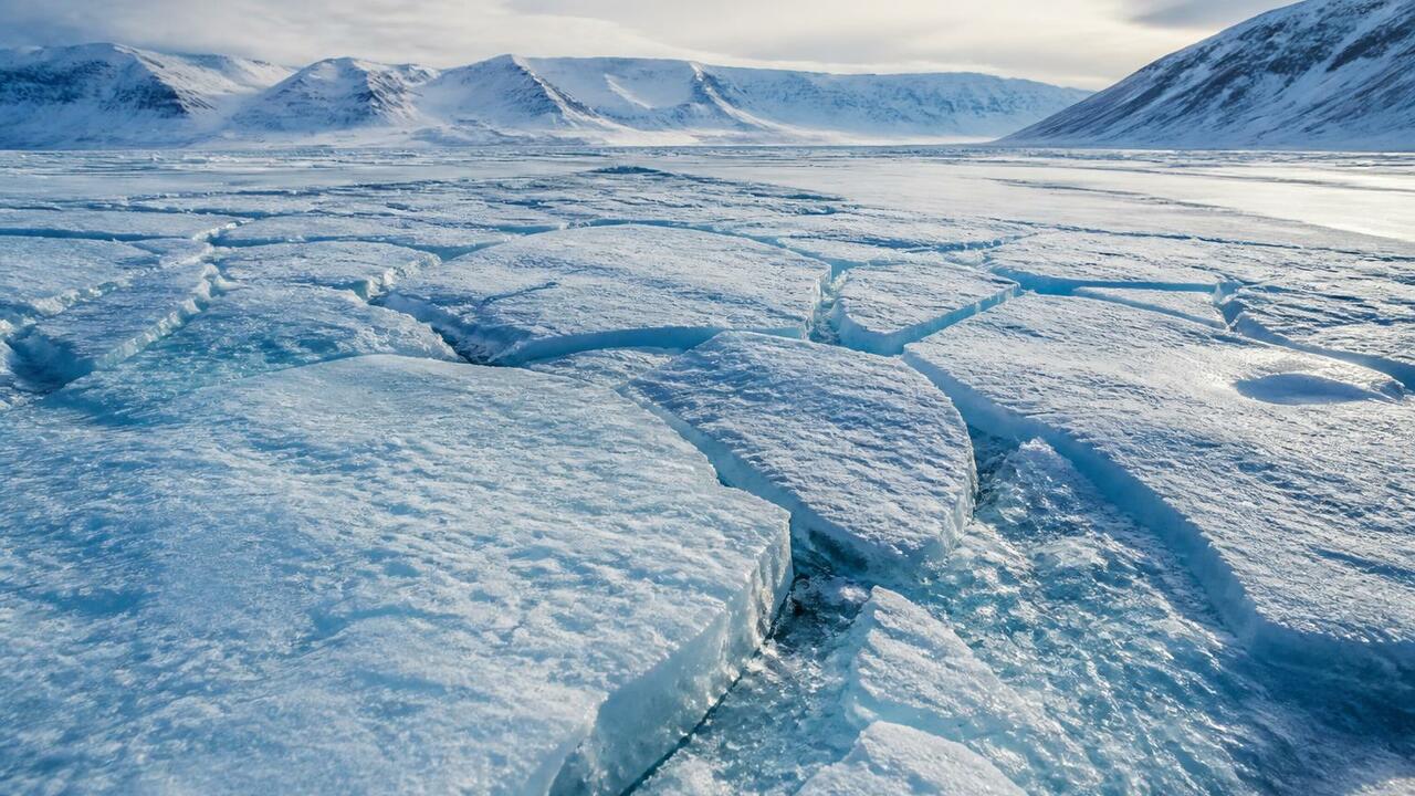 Арктический морской лёд: рекордное падение зимой 2025 года Учёные зафиксировали рекордное падение площади ...