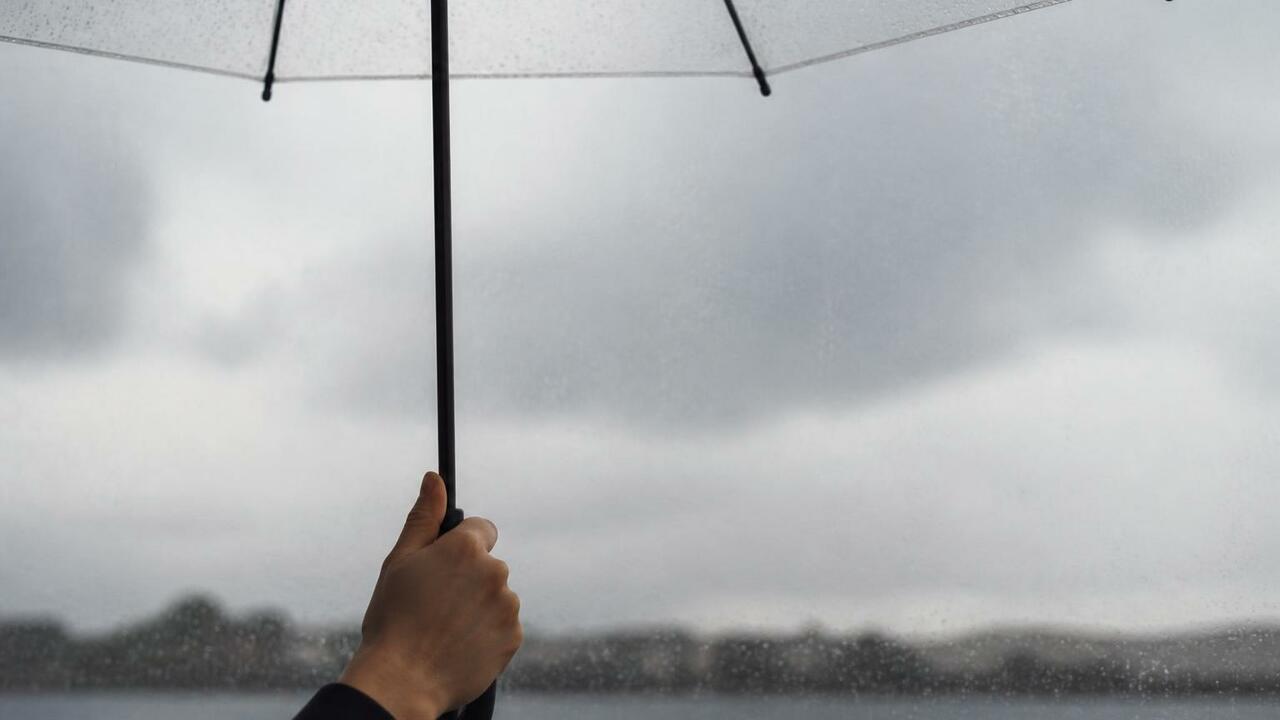 Во Франции из-за июньской жары 2019 года зафикс...