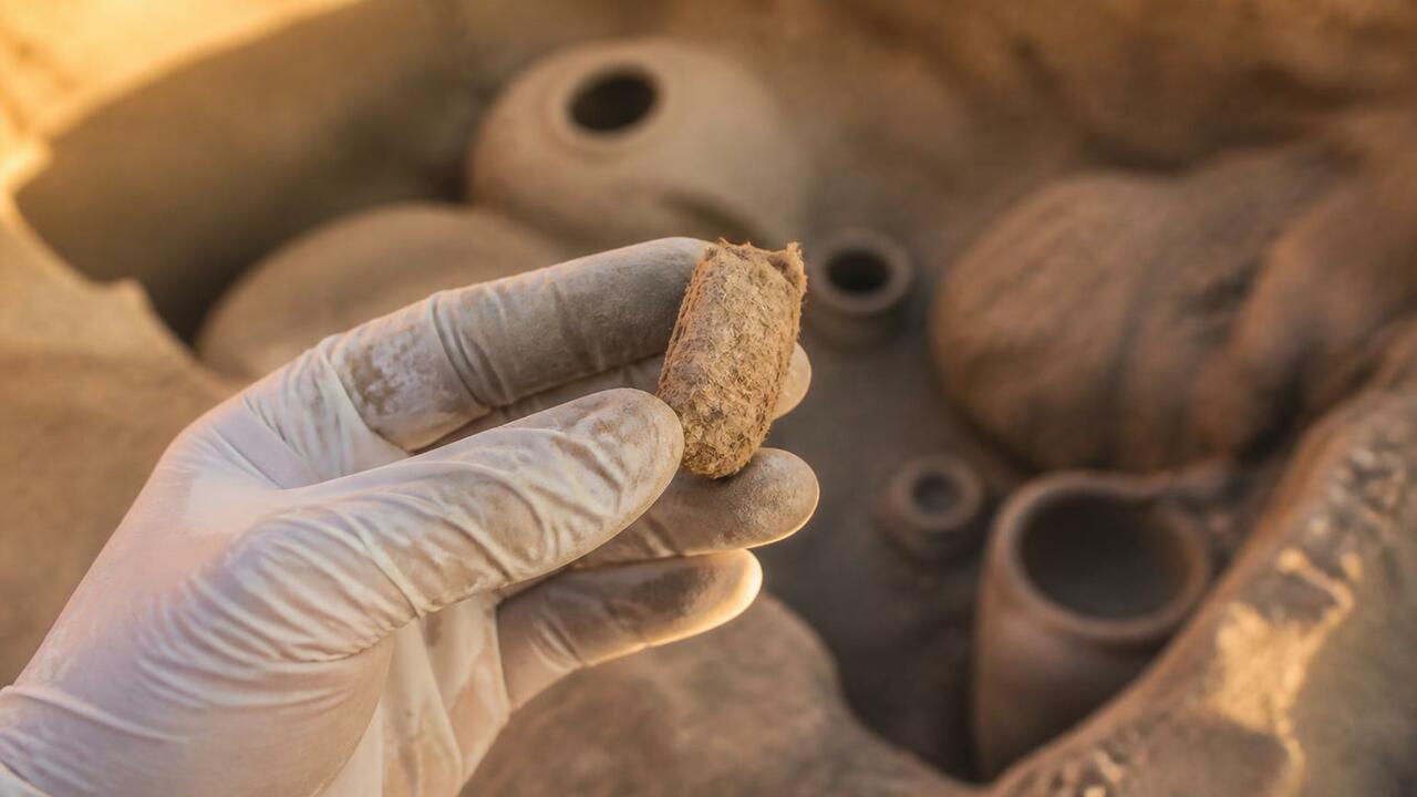 В Узбекистане нашли коконы шелкопряда возрастом 4000 лет — на 2000 лет старше Шёлкового пути Археологи нашли в Узбекистане коконы шелкопряда...