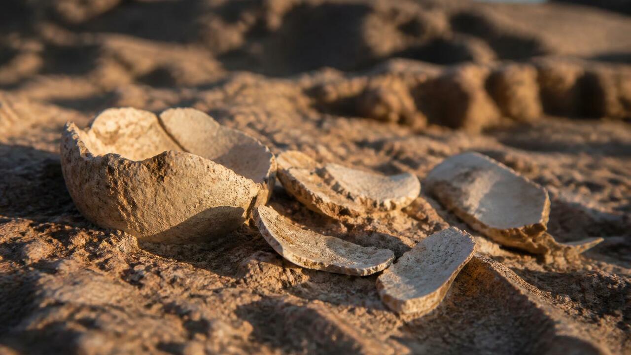 Учёные нашли на юге Аргентины яйца титанозавров — гиганты гнездились гораздо южнее, чем считалось Палеонтологи нашли более 250 фрагментов яичной ...