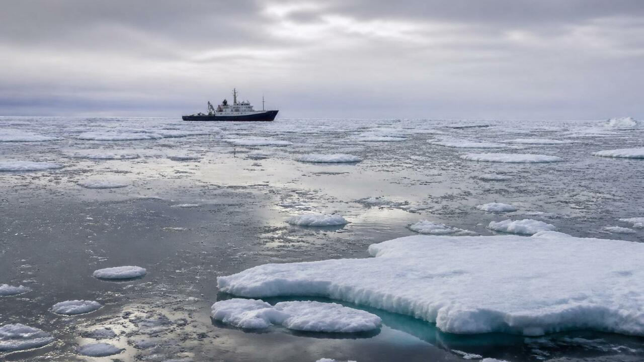 Течения в Чукотском море ускоряют погружение фитопланктона, уносящего углерод на дно Ученые выяснили, что в Чукотском море схождение...