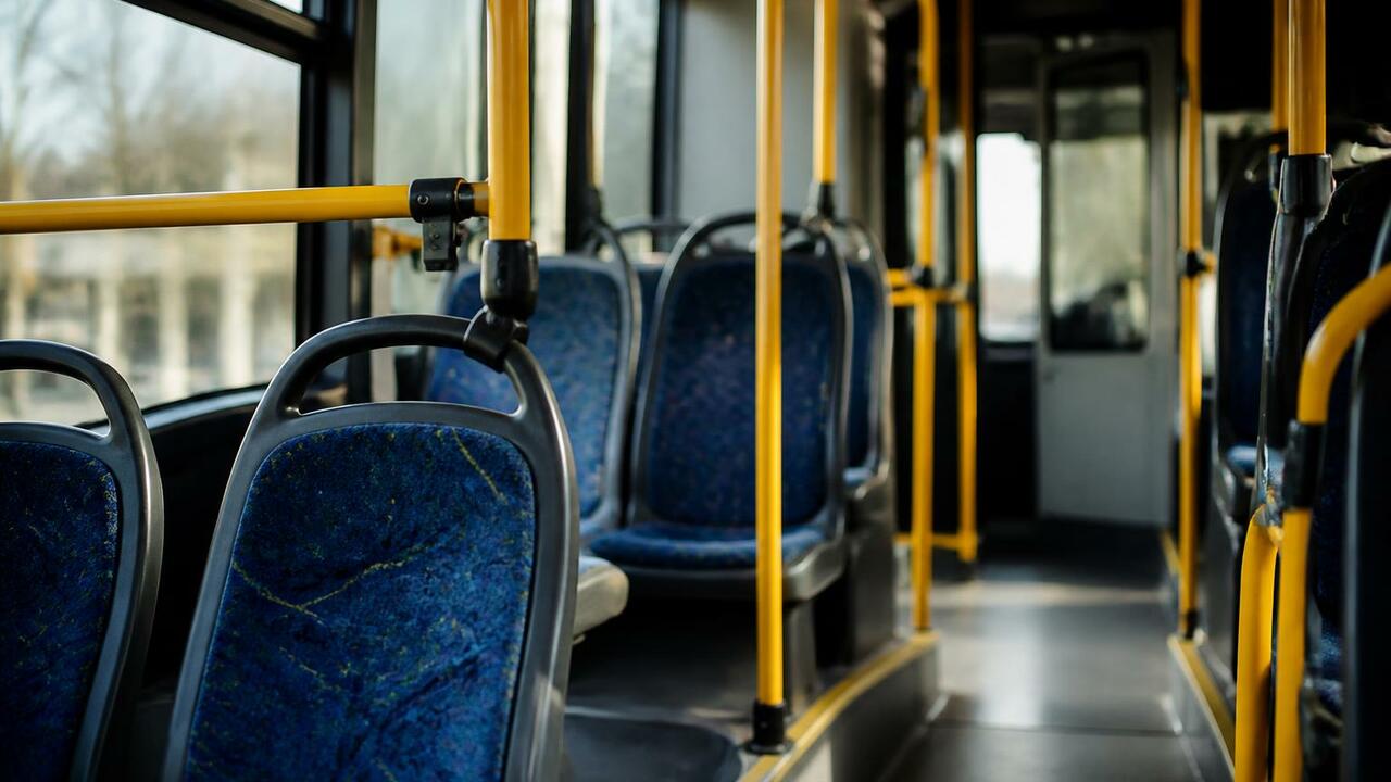 Число участников «Башкирского долголетия» превысило 70 тысяч Более 70 тысяч пенсионеров стали участниками пр...