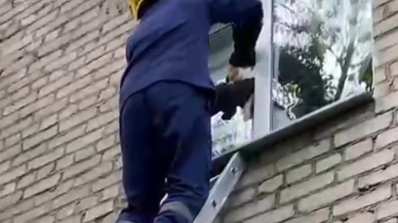 В Уфе спасатели помогли застрявшей в оконной ст...