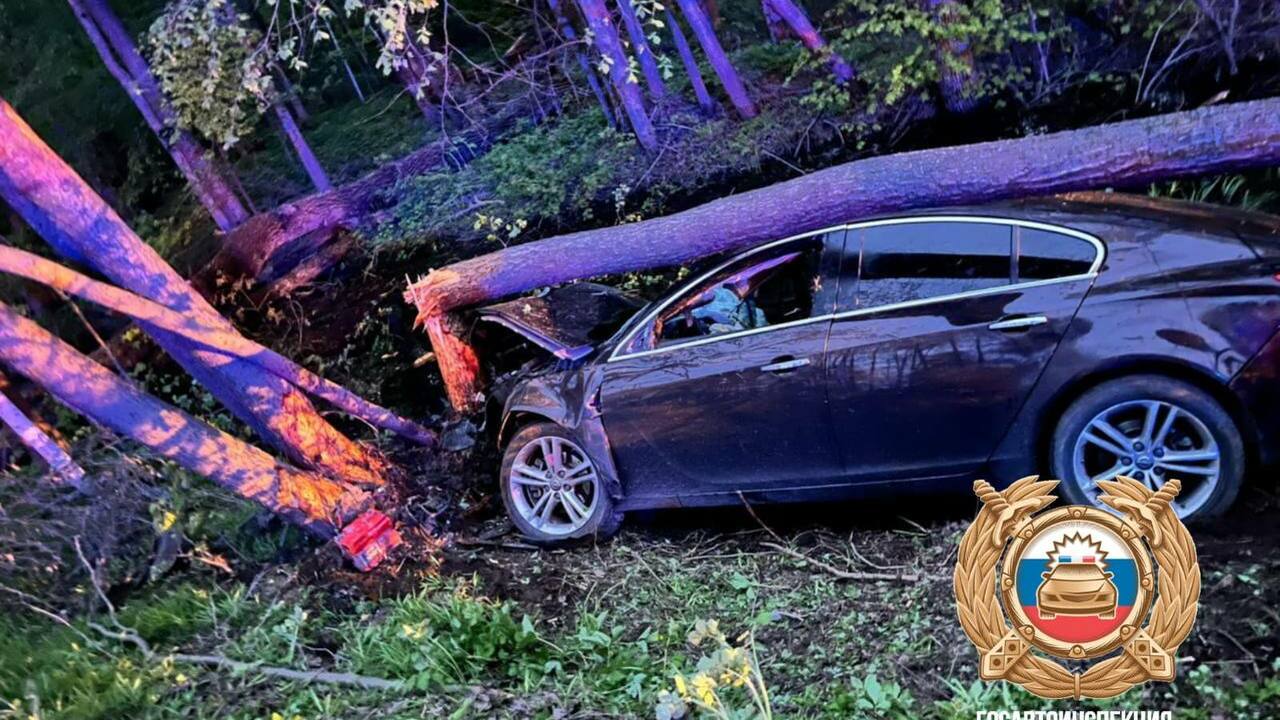 В Башкирии в ДТП с лосем один человек погиб, двое пострадали В Агидели накануне поздно вечером произошла ава...