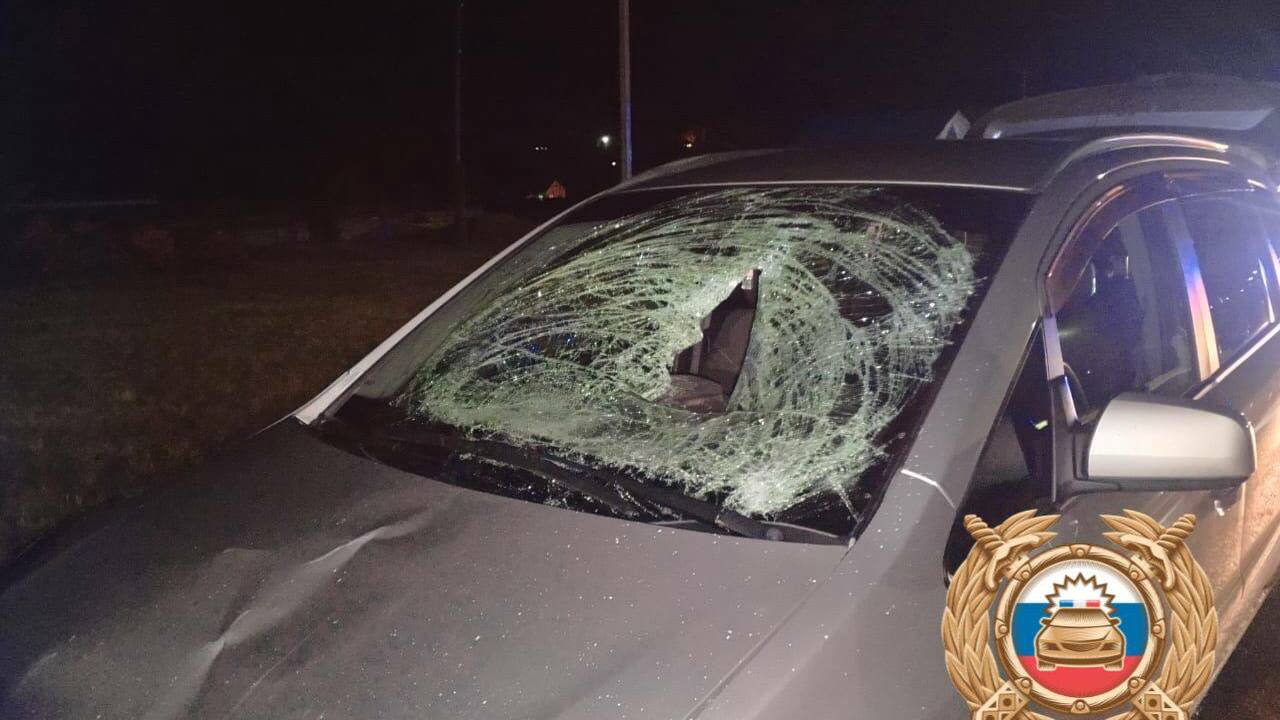 22-летний водитель насмерть сбил мужчину в Башкирии В Башкирии в селе Караидель вчера вечером произ...