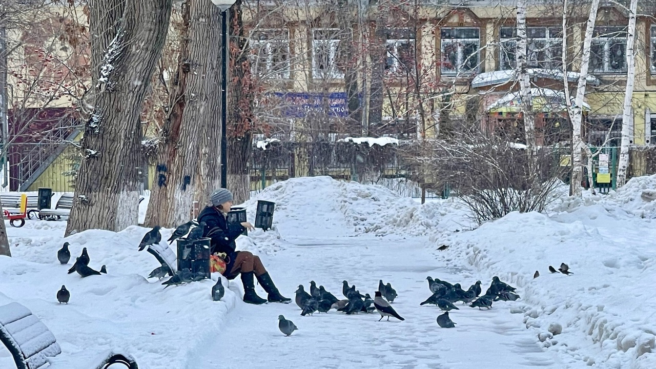 Узнайте, какую погоду прогнозируют синоптики в ...