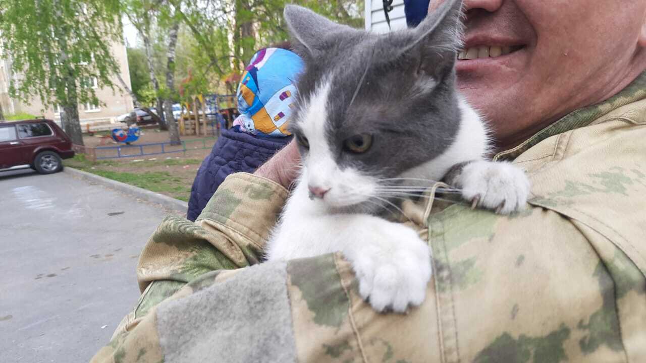 В Уфе спасли кошку, застрявшую под крышей торгового павильона Накануне вечером в ЕДДС позвонила уфимка и расс...