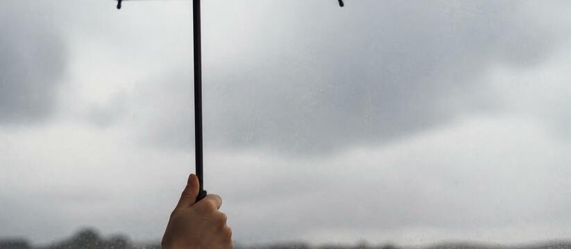 Во Франции из-за июньской жары 2019 года зафикс...