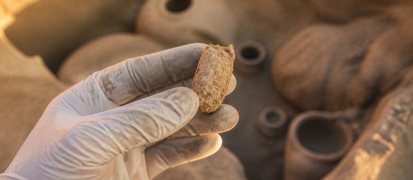 В Узбекистане нашли коконы шелкопряда возрастом 4000 лет — на 2000 лет старше Шёлкового пути Археологи нашли в Узбекистане коконы шелкопряда...