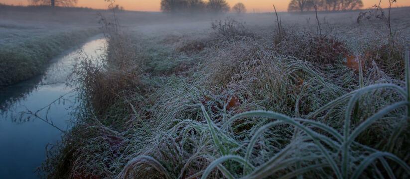 В Башкирии предстоящей ночью ожидаются заморозк...
