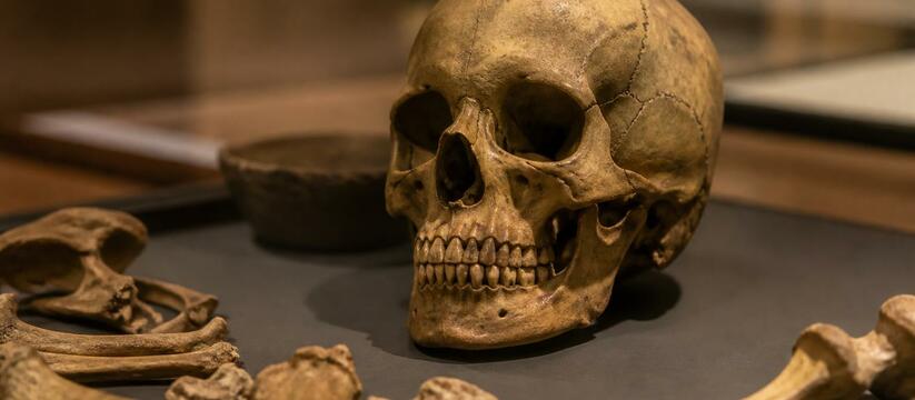 Люди употребляли наркотики ещё 25 000 лет назад — задолго до земледелия Археологи нашли древнейшие следы употребления н...
