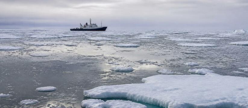 Течения в Чукотском море ускоряют погружение фитопланктона, уносящего углерод на дно Ученые выяснили, что в Чукотском море схождение...