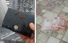 Житель Башкирии нашел в желудке забитой коровы ...