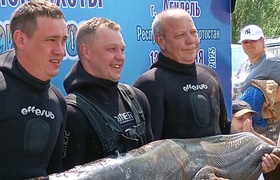 В Башкирии выловили сома весом более 50 кг